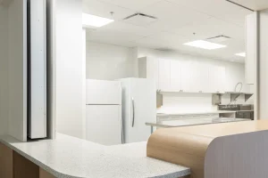 Kitchen Reno1